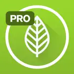 Garden Plate Pro App Cancel