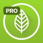 Garden Plate Pro app download
