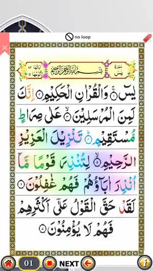 Surah Yaseen + 7 Mubeen wazifa screenshot 3