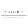 Xavier BEZAULT problems & troubleshooting and solutions