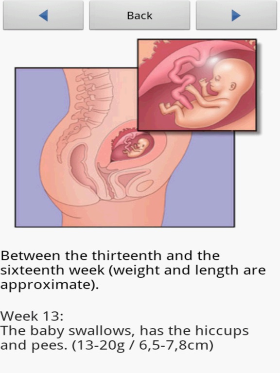 Screenshot #6 pour Nine Sweet Months