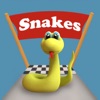 Snake Way 3D: Adventure Run icon