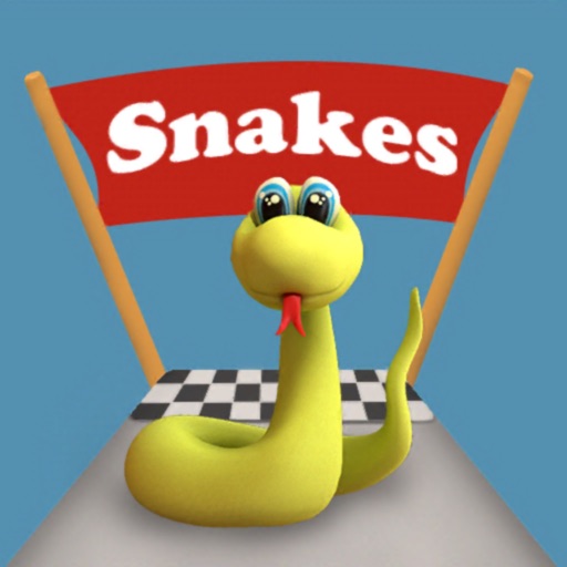 Snake Way 3D: Adventure Run icon