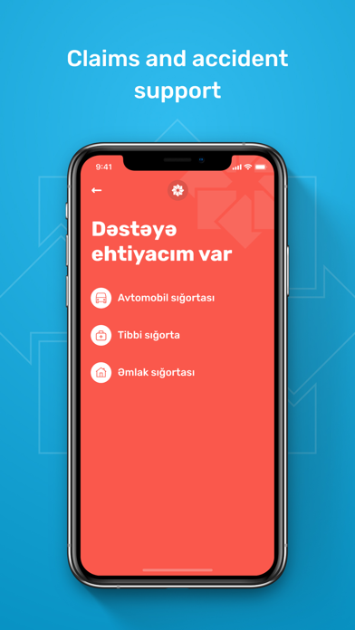 PASHA Insurance Screenshot