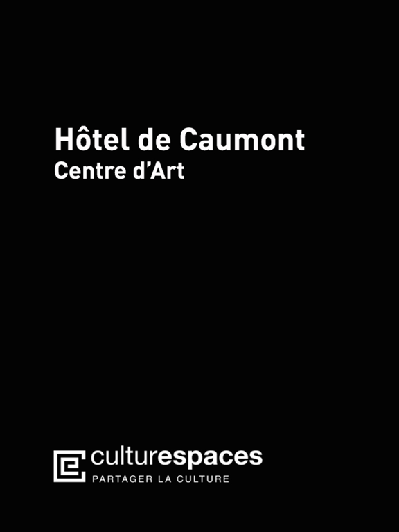Screenshot #4 pour Hôtel de Caumont-Centre d’Art