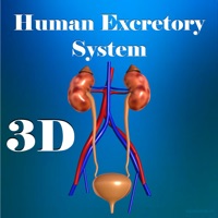 Human excretory system logo