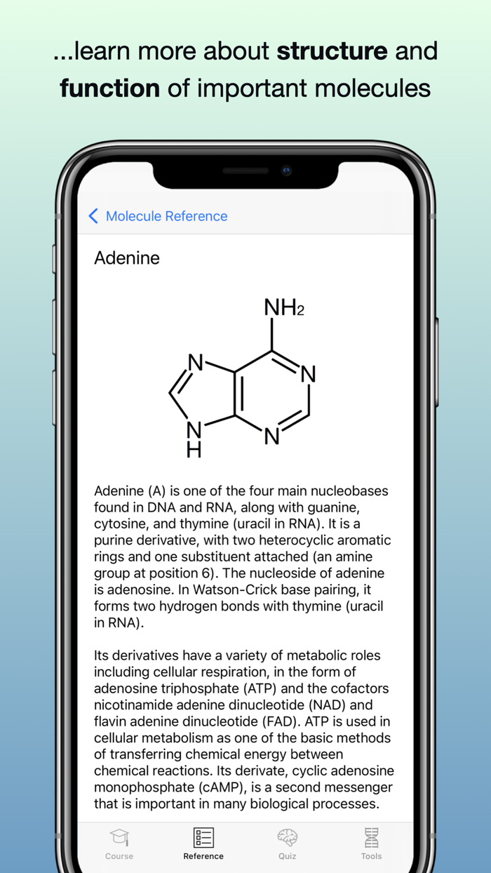 Codon One Learning Biology