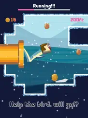 bird watch game: learn to flap айпад изображения 4
