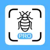 Insekten Scanner Pro contact