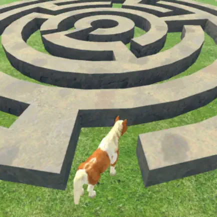 Horse Maze Run Challenge Cheats