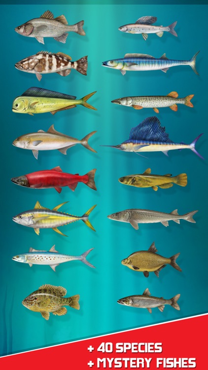 Real Reel Fishing Simulator 3D