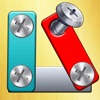 Nuts & bolts Sort Puzzle 3D icon