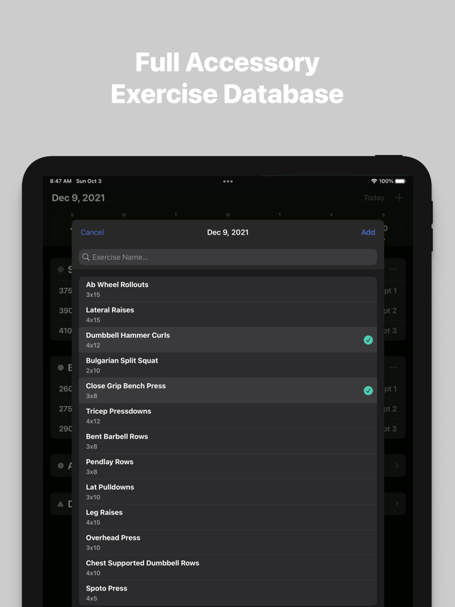 Strength Flight Screenshot
