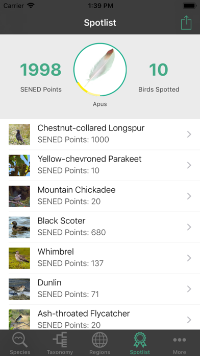 SENED BirdWorld Screenshot
