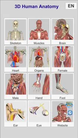 Game screenshot 3D Anatomy hack