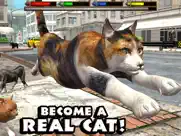 ultimate cat simulator ipad capturas de pantalla 1