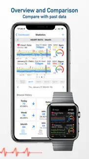 whealth dashboard problems & solutions and troubleshooting guide - 4