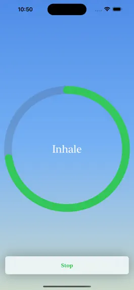 Game screenshot Pine - Deep Breathing apk