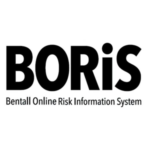 Boris Mobile iOS App