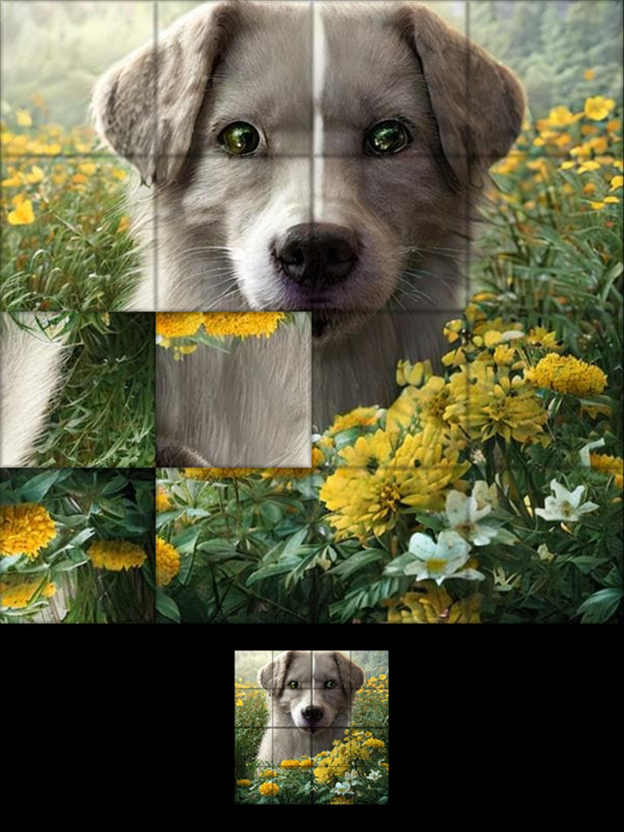 Jigsaw Puzzles Animals 1