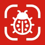 Insect Identifier: AI Scanner App Support