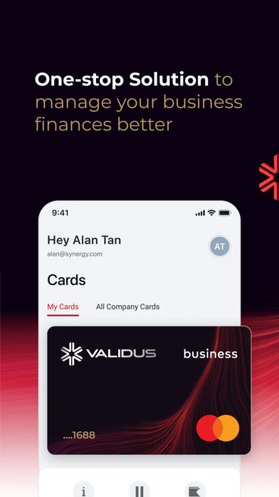 Validus Business Account Screenshot