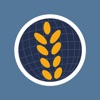 Graindex icon