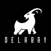 DELABAY App Feedback