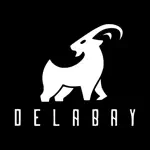 DELABAY App Positive Reviews