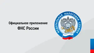 Налоги ФЛ screenshot 1