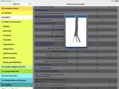 2017 Master Electrician Ref. iPad image 3