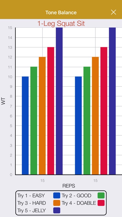 60 Day Workout Tracker More HC