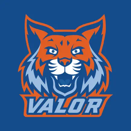 Valor Collegiate Academies Читы