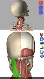 visual anatomy problems & solutions and troubleshooting guide - 4