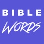 Bible Word Puzzle - Word Hunt app download
