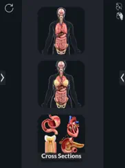organs anatomy ipad resimleri 3