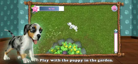 Dog World Premium - My Puppy