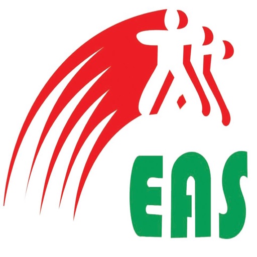 Al Masrya Al Amrecia School