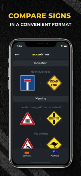 Game screenshot Accudriver - traffic rules hack
