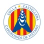 Capgrossos de Mataró app download