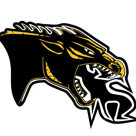 Cameron R-1 School District MO Читы