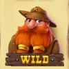 Gold Rush Slot icon