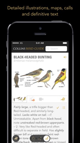 Collins Bird Guideのおすすめ画像4