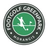 FootGolf GreenPark 91 icon