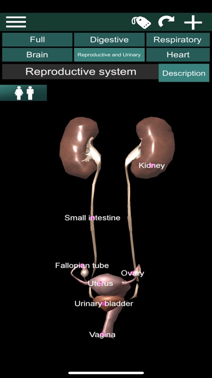 ORGANS 3D (ANATOMY) screenshot-3