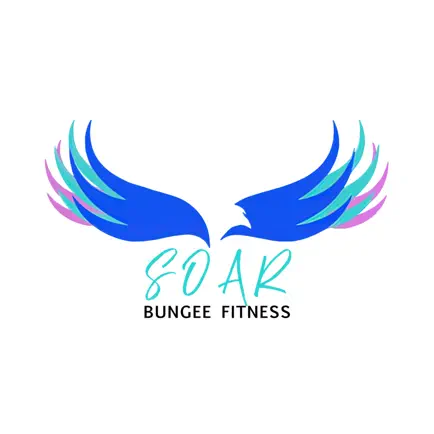 SOAR Bungee Fitness Cheats