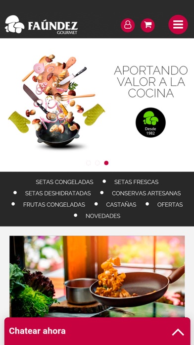 Faundez Gourmet Screenshot