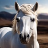 Stable Horse Riding Games 2024 icon