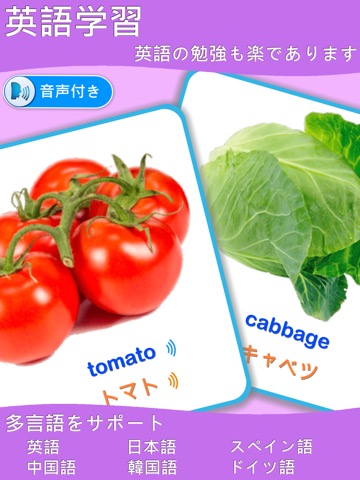 野菜学習カード : 英語学習のおすすめ画像2