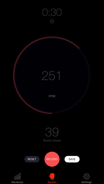 Speed Bag Boxing Trainer